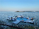 Swimming Inflatable Island Party Dock Swim Platform for Yacht manufacturer
