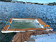 Inflatable Jellyfish Yacht Floating Swimming Ocean Pool Platform with Net