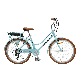 26 Alloy E-Bike 36V 250W Electric City Bicycle with Shimano 7 Speed manufacturer