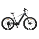 MID Motor Electric Mountain Bicycle 36V 250W E-Bicycle with Shimano 9 Speed manufacturer