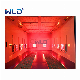  WLD8200 Mexico Infrared Paint Curing Lamp Mobile Spray Booth for Sale