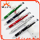 Amazing Seller Popular Promotional Plastic Ball Pen with Metallic Paint (BP0206)