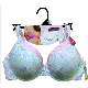  Ladies′ Underwear Costom Order for Ladies′ Underwear with Factory Price