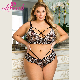  Sexy Adult Womens Plus Size Bra and Panties High Quality Underwear Lingerie Sets