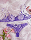  Ladies Hot Selling Sexy Bra Sets Young Ladies Bra Brief Set Push up Underwear Bra Panty Sets for Woman
