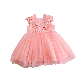  Infant Toddler Girls Sleeveless Lace Flower Dress Birthday Baby Girl Dresses
