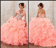  Organza Ball Gowns Coral Tulle Crystal Quinceanera Dress Z7017