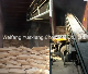  Probiotic Bacillus Megaterium Phosphate-Solubilizing Bacteria for Agriculture Farm Flower Fertilizer Used