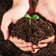  Humic Acid Granular Organic Matter 80% Min Soil Conditioner