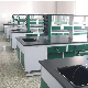  Chemistry Physics Biology Laboratory Abrasion Resistant Corrosion Resistance Stainless Steel Wood Reagent Rack for Lab Bench Island Bench Wall Bench