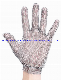  Stainless Steel Chainmail Mesh Glove/Original Manufacturer Factory Price Stainless Steel Metal Chainmail Gloves Best Seller for Butcher Working