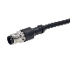  OEM PVC/FEP/TPU/PP/XLPE/LSZH/Silicone Materials Abrasion Resistance Electrical Cable Power Waterproof Connector Robotics Wire Assembly
