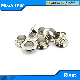  High Quality Nickle Metal Round Eyelet for Cloth