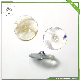 Resin and Plastic Buttons for Fashion Garments