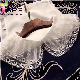  3D White Good Cotton Neck Collar Lace