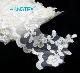  Fashionable Corded Lace Applique White Embroidery Patch Iron on Applique for Wedding Party Dress DIY Accessories