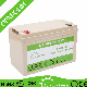 Lithium Iron Phosphate Battery Cell 12V 100ah LiFePO4 Battery Pack