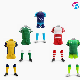 Factory Price Good Quality Wholesale Rugby T Shirt Sublimation Design Fiji Springbok Rugby Jersey manufacturer