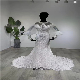  Factory Customized Lace Beading Mermaid Fishtail Wedding Dresses with Sleeves for Bridal