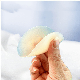  Nipple Covers Reusable with Carry Case Adhesive Silicone Pasties for Women