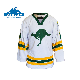 Custom Sublimation Printing Ice Hockey Jersey, Man Sports Hockey Jersey