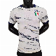  Hot Player Quality Thailand Club Soccer Shirt 23/24 Italian Away Football Shirt