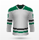  Custom Professional Supplier High Quality Ice Hockey Jersey with 100%Polyester