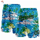  Custom Men′s Hawaiian Shorts Summer Beach Trunks Quick-Drying Swimming Beach Shorts
