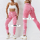 Wholesale Clothing Seamless Leggings High Waist Quick Dry Yoga Pants Scrunch Butt Lifting Elastic Tights Sports Wear Leggings manufacturer