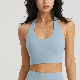 Summer Hot Backless Exercise Fitness Woman Tops Halterneck Yoga Wear Sports Bra for Women Halter 2023 manufacturer