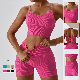 OEM Wholesale Seamless Sport Bra Short Set Yoga Wear Fitness Clothing Workout Set Gym Fitness Clothes Active Wear manufacturer