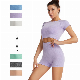  OEM Design Seamless Women Yoga Set Workout Sportswear Gym Clothing Fitness