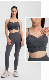 Sports Underwear for Women Running Fitness Yoga Clothes Yog Suits Sportswear manufacturer