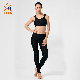 Wholesale Solid Color Sports Bra Latest Mesh Design Detachable Fitness Yoga Bra
