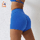  Ingor Sportswear Private Label Activewear Custom Women Fitness Apparel Gym Wear High Waist Fitness Shorts Without Front Seam Line, and Butt Lifting Design