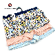  Sweet Girl Cute Pattern Underwear Cotton Bottoming Antibacterial Boxer Briefs Ny-23G3002