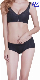 Sexy Confortable Underwear with Bralette Memory Foam Cup and Panty manufacturer
