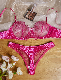  2024 Hot Sell Sexy Women Transparent Erotic 2 Piece Lace Lenceria Set Sexy Lingerie