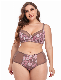  Intiflower Sexy Designer Push up Fashion Print Floral Cute Lace Plus Size Fancy Flower Sexy Bra and Brief Panty Set