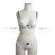  Women′s Padded Bra with Underwire Soft Lace with Silver Color Inside