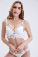  Lacy Underwear for Women Thin Cup Large Breasts Show Small Gathered Soft Underwire