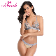 Elegant Exquisite Wholesale Plus Size Bra and Underwear Lingerie Set