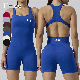  High Quality Wholesale Athletic Wear Yoga Clothes Activewear Gym Wear Fitness Seamless Bodysuits