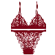 Europe Women′s Brassiere for Wholesale