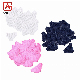  Soft Disposable SPA Underwear Women Underwears Disposable Women Underwear