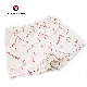  OEM ODM Comfortable Kids Cotton Underwear Girls Brief Ny-23G3001