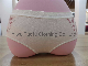  Ladies Sexy Underpants Short Pants Seamless Briefs Seamless Thong Short Pants