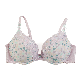  Hot Selling Ladies Sexy Push up Bra Lingerie