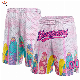 Custom Summer Beach Pants Men′s Trunks Casual Quick-Drying Shorts
