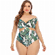 Plus Size Fashion Push up Lycra Lady Swimwear